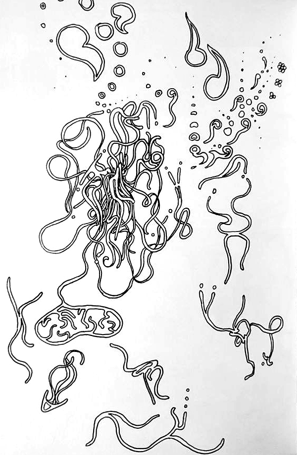 Squig